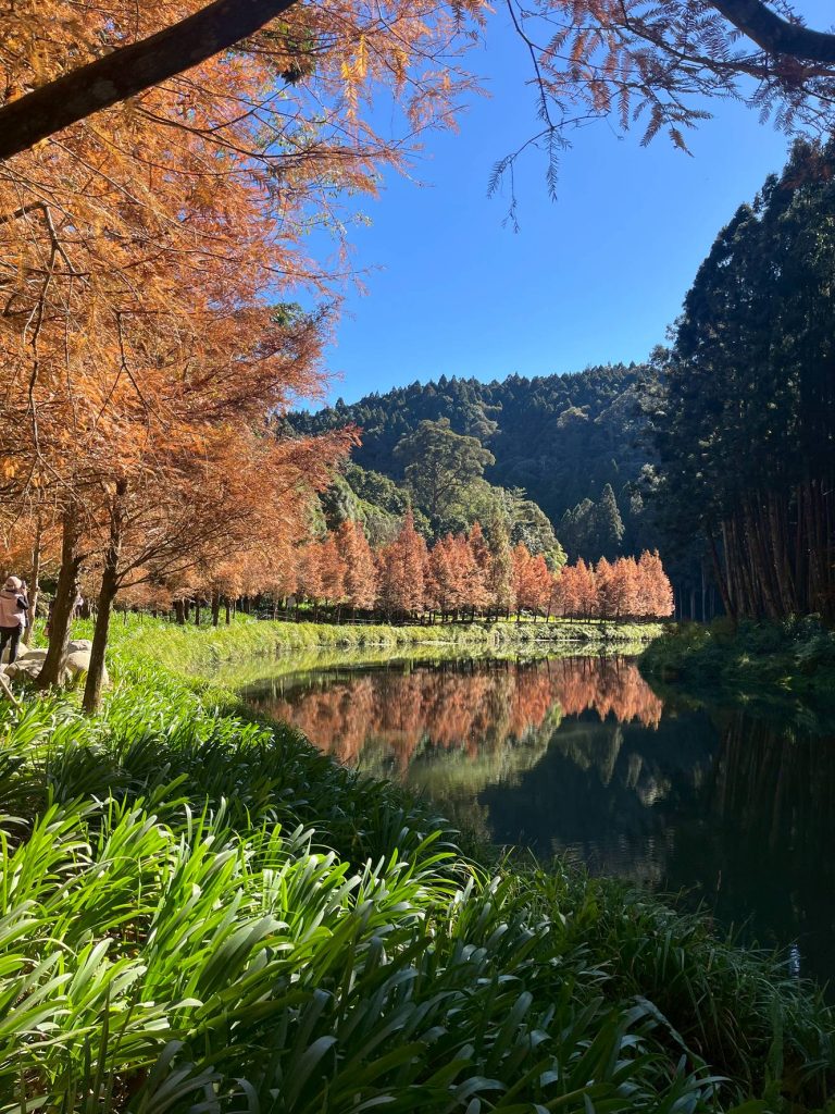 6548802025/12/17台南市足部工會杉林溪自強活動